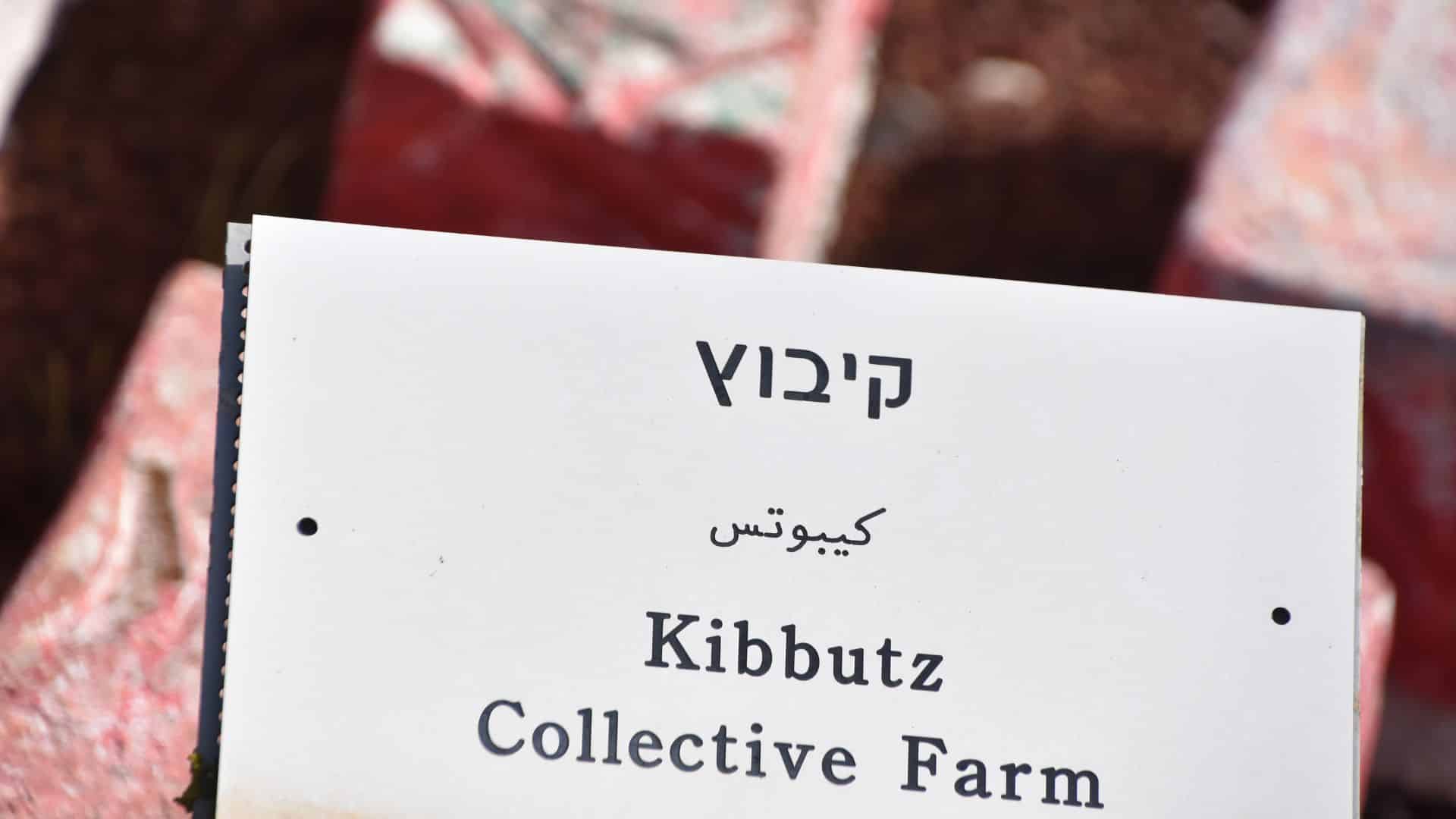 זכויות חבר קיבוץ